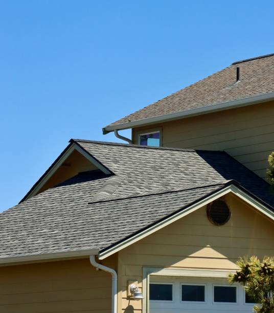 Best Solar Panel Roofing Installation  in USA